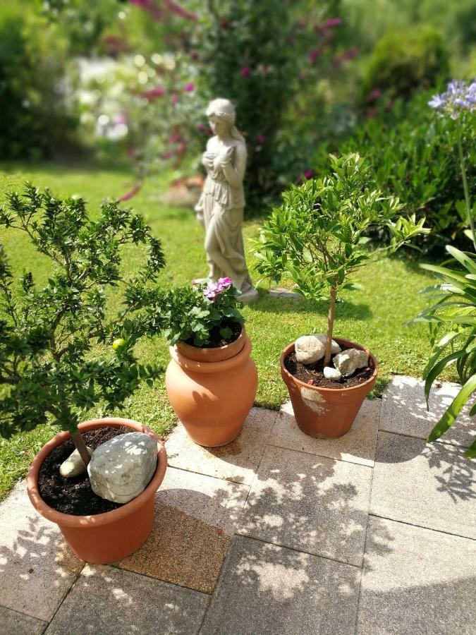 Haus Marianne Apartman Hof bei Salzburg Kültér fotó